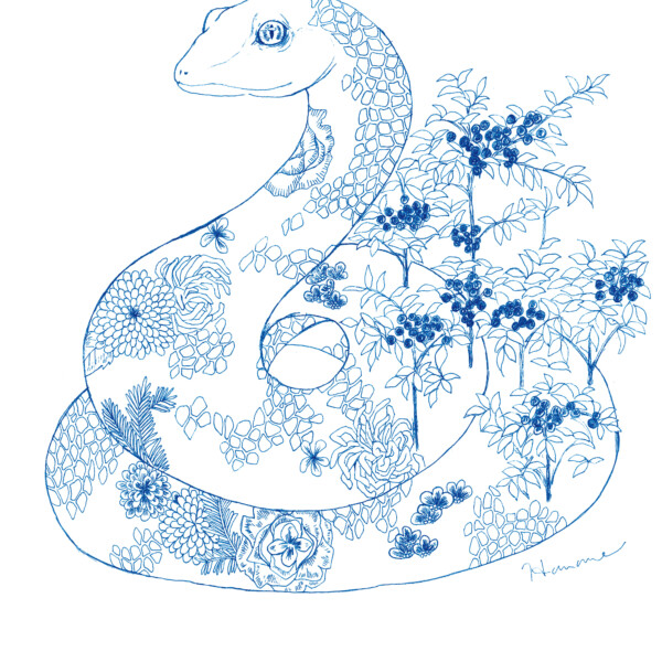 華