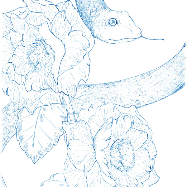『花つたう』
